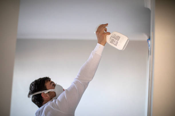 Best Toxic Mold Removal  in Asbury, IA