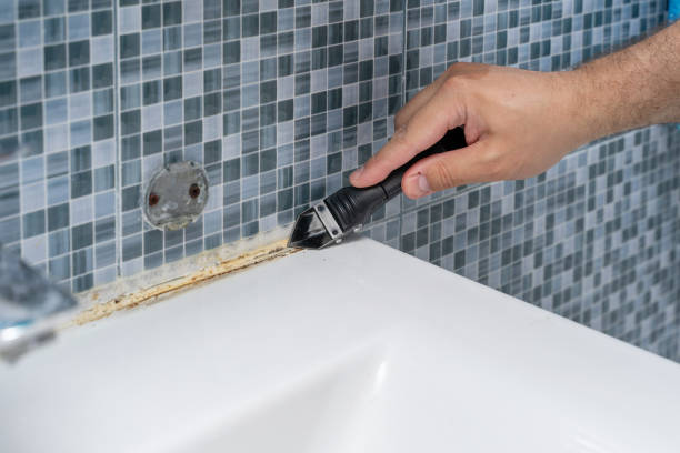 Best Mold Testing  in Asbury, IA