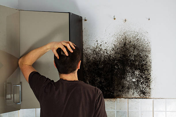 Water Damage Restoration in Asbury, IA